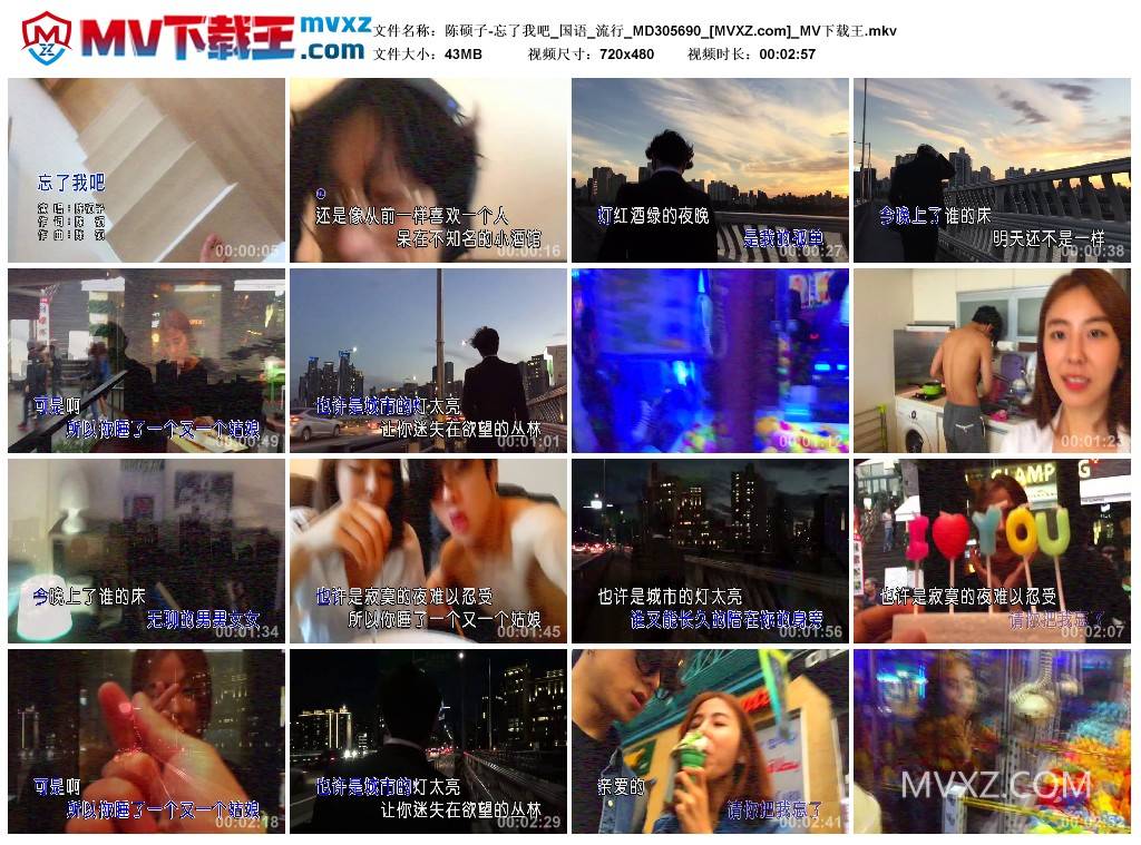 陈硕子-忘了我吧_国语_流行_MD305690